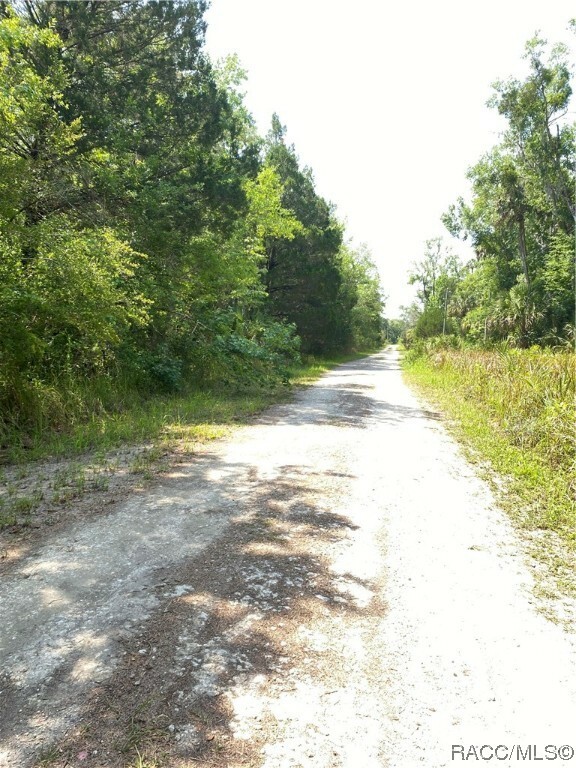 Property Photo:  545 S Winterset Avenue  FL 34429 