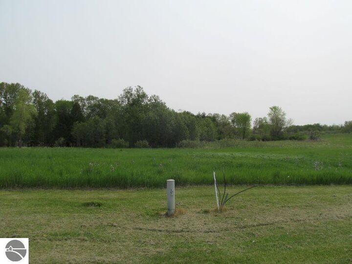 Property Photo:  Lot #3 S Hemlock Street  MI 49657 