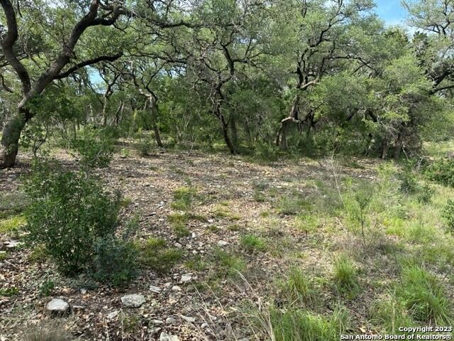 20330 Bobwhite Run  San Antonio TX 78256 photo