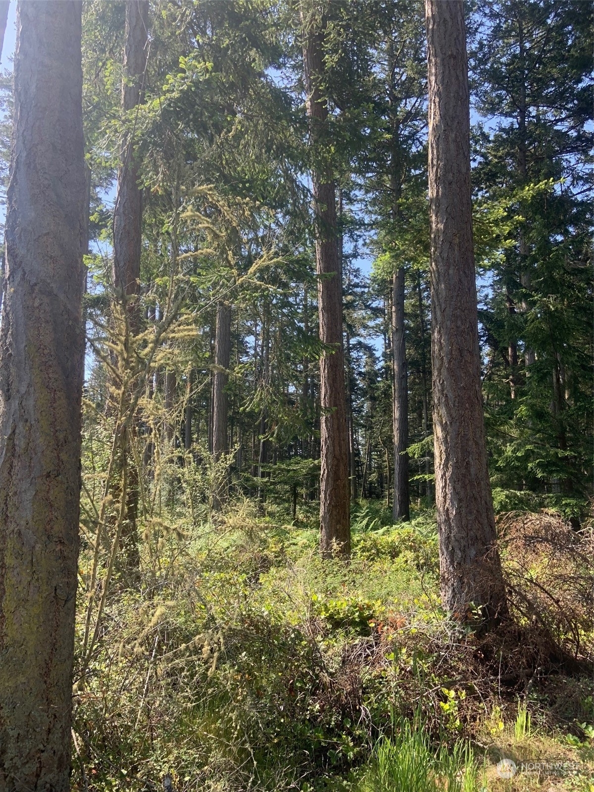Property Photo:  153 Limes Road  WA 98261 