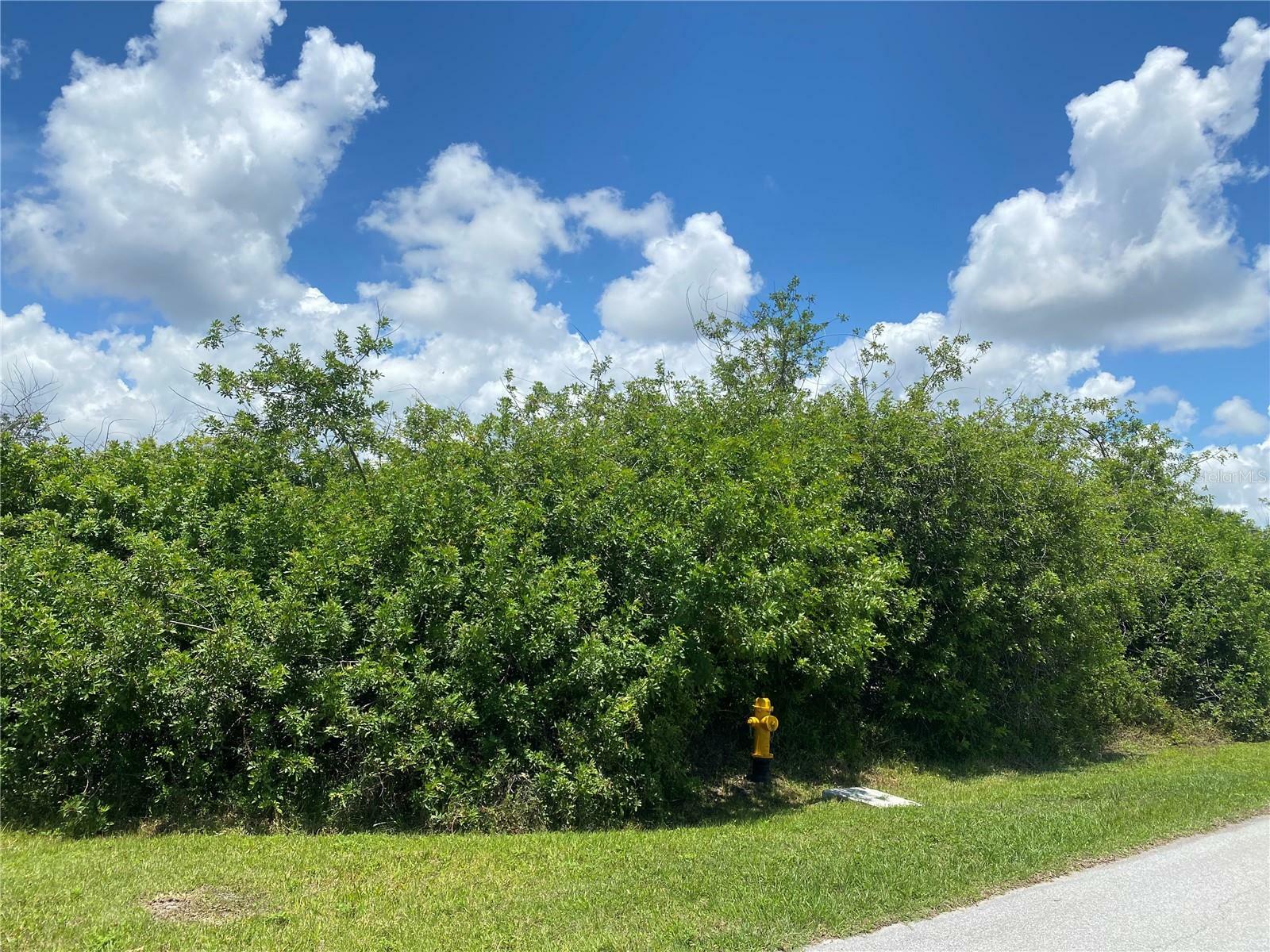 Property Photo:  1189 March Drive  FL 33953 