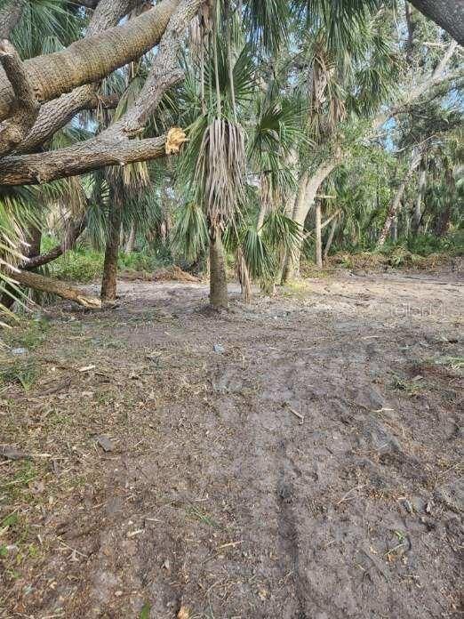 Property Photo:  18417 Daysland Avenue  FL 33952 