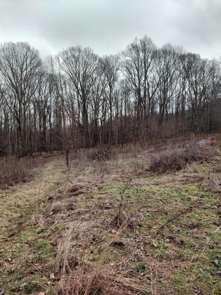 Tbd Dyer Road  Roan Mountain TN 37687 photo