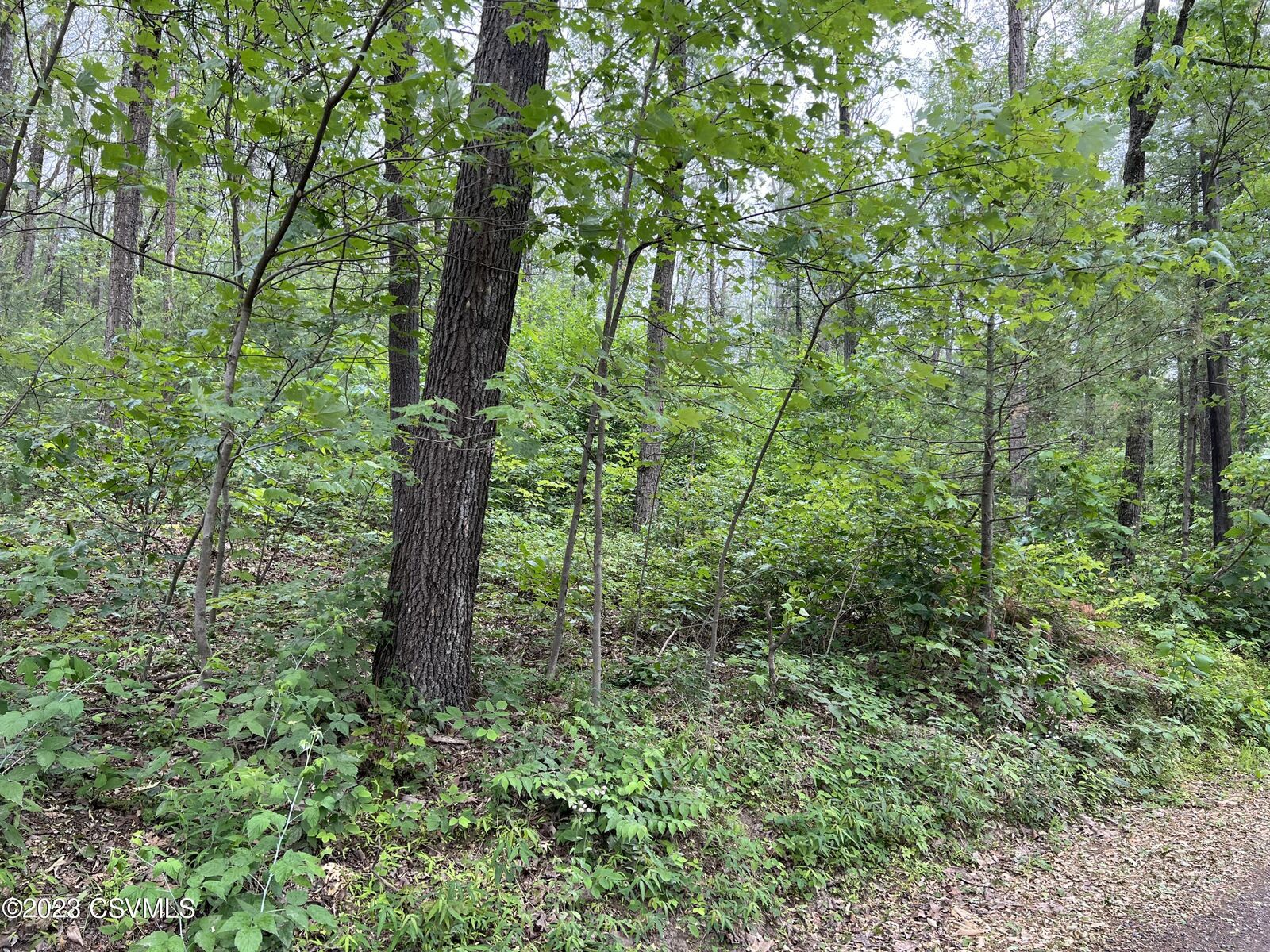 Property Photo:  Nittany Mountain Road  PA 17856 