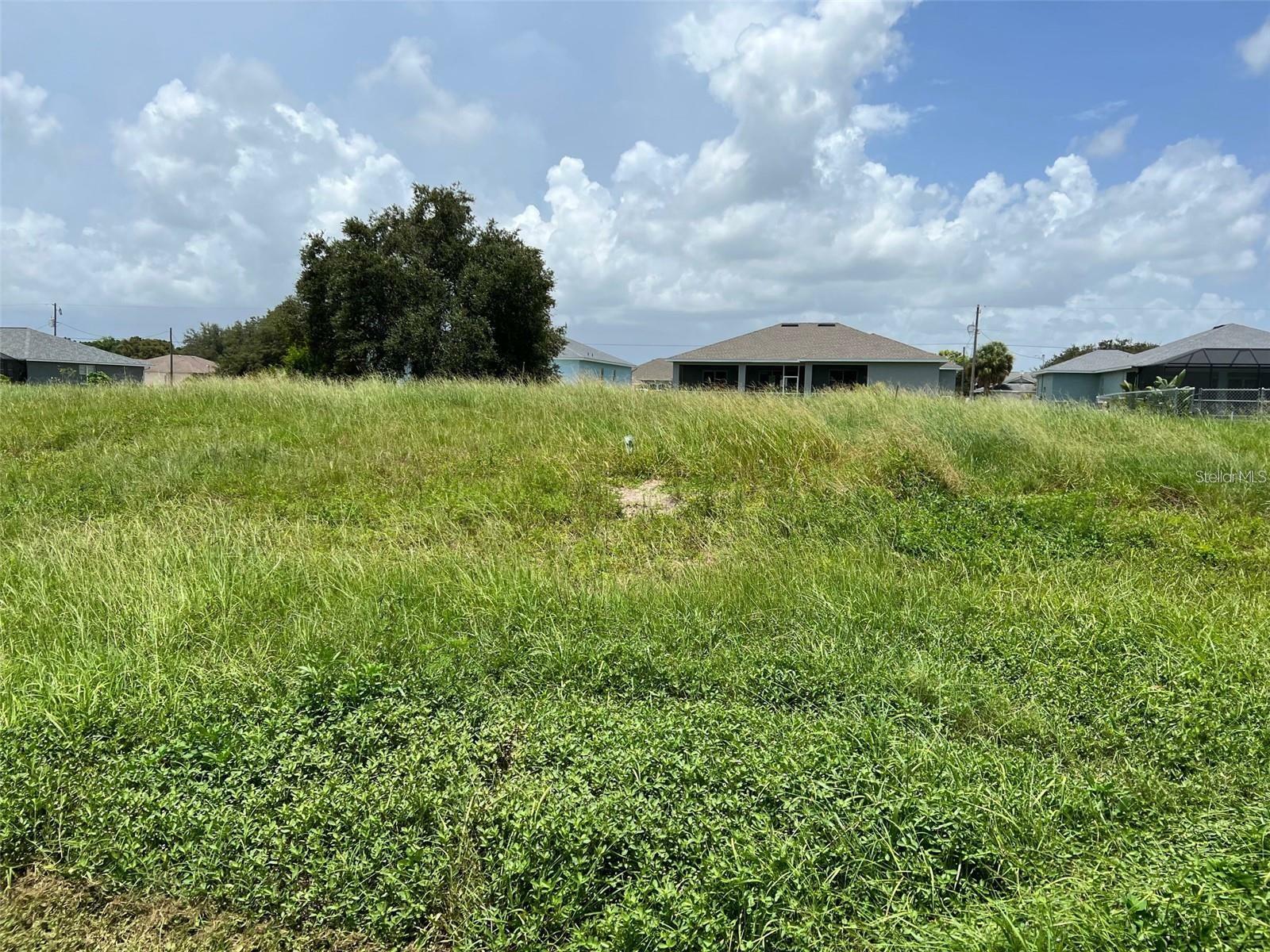 Property Photo:  12176 Paramount Drive  FL 33955 