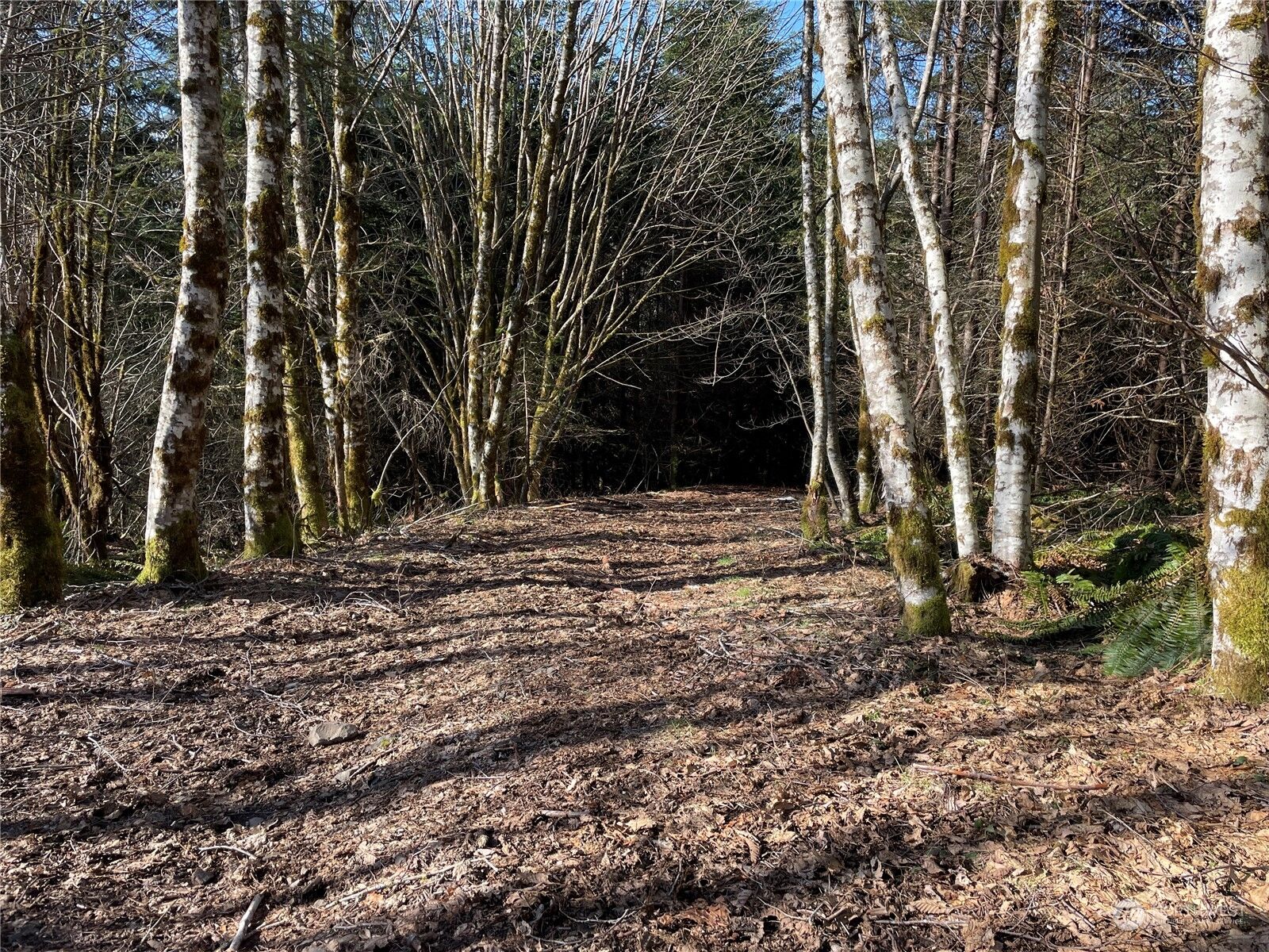 Property Photo:  0  Highway 503  WA 98674 