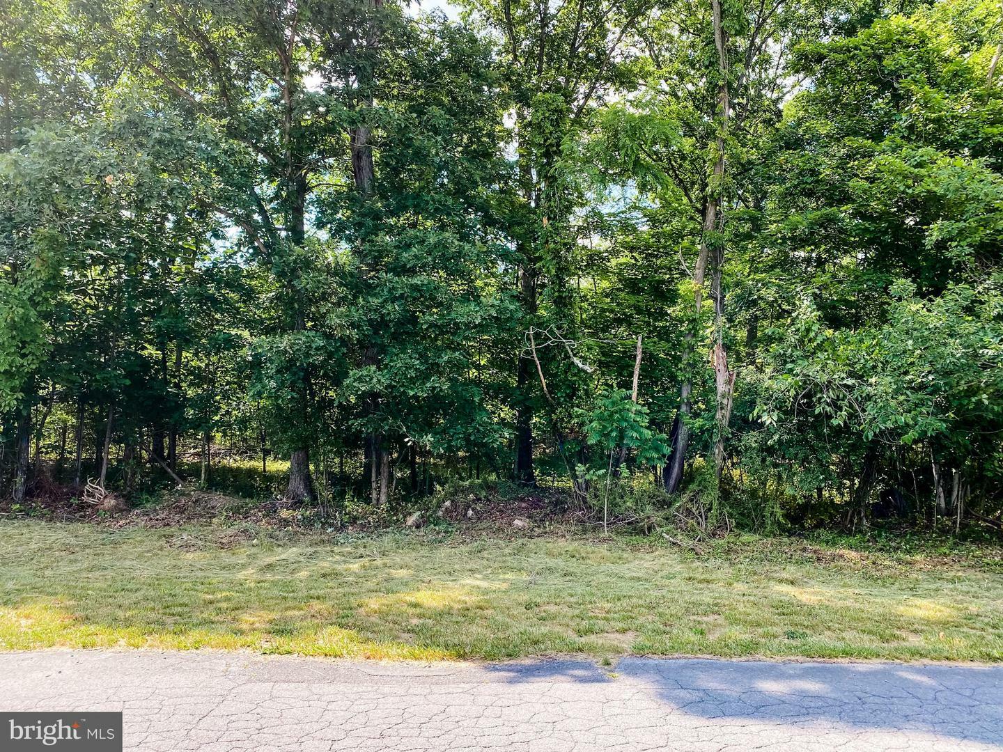 Property Photo:  Haines Drive  MD 21502 