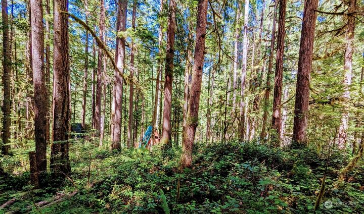 Property Photo: 0 Lot 64 Cacade River Park 02 WA 98267