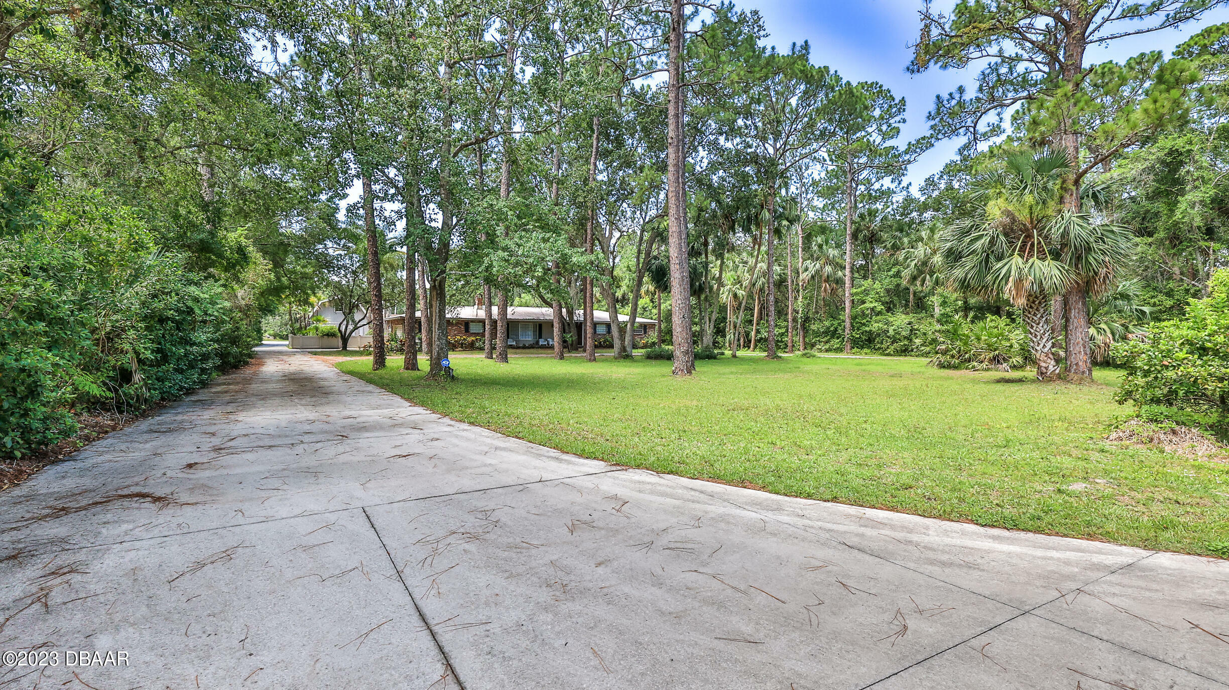 Property Photo: 1965 Avocado Drive FL 32128