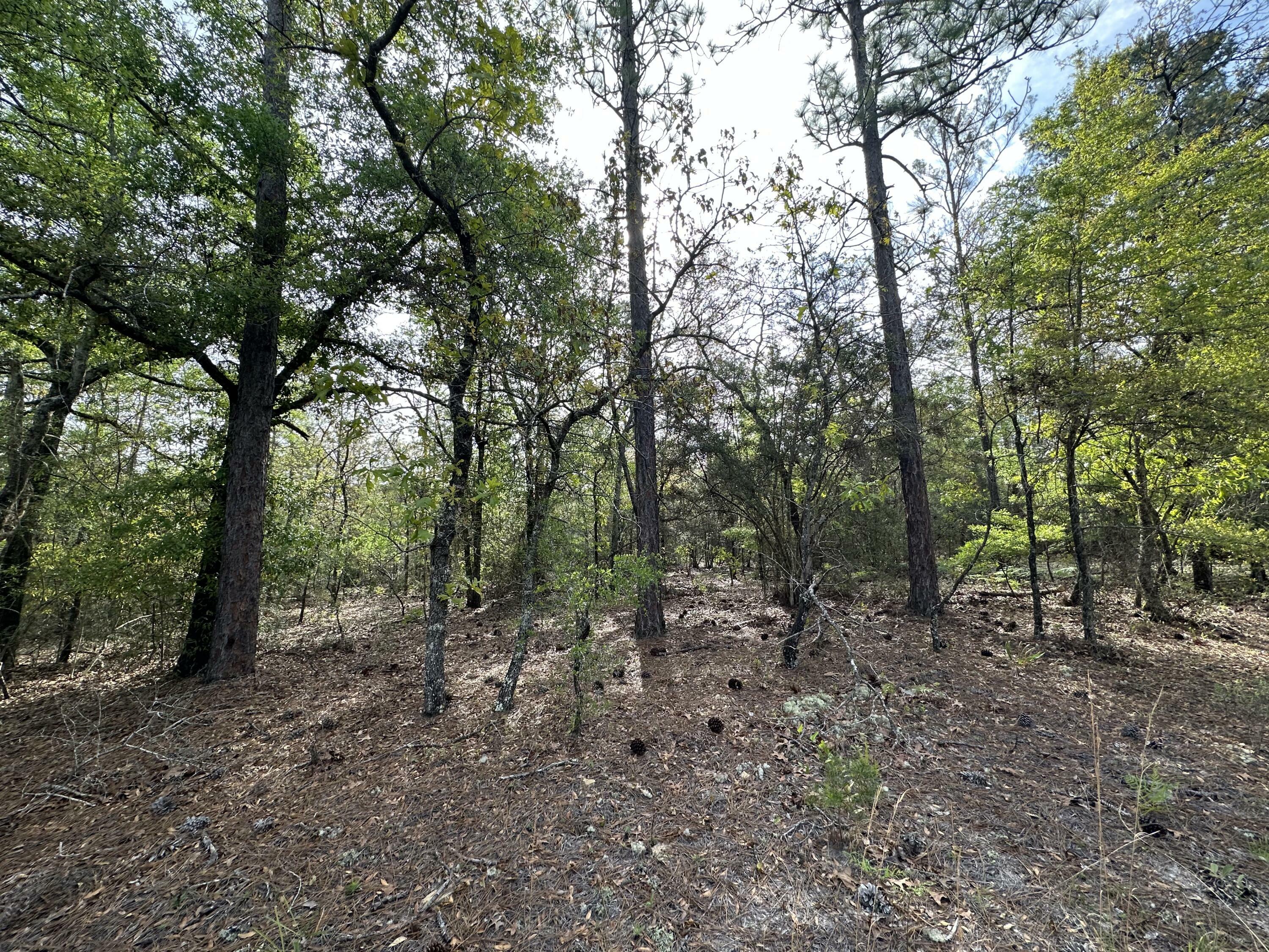 Property Photo:  Parcel A Bear Lake Road  FL 32539 