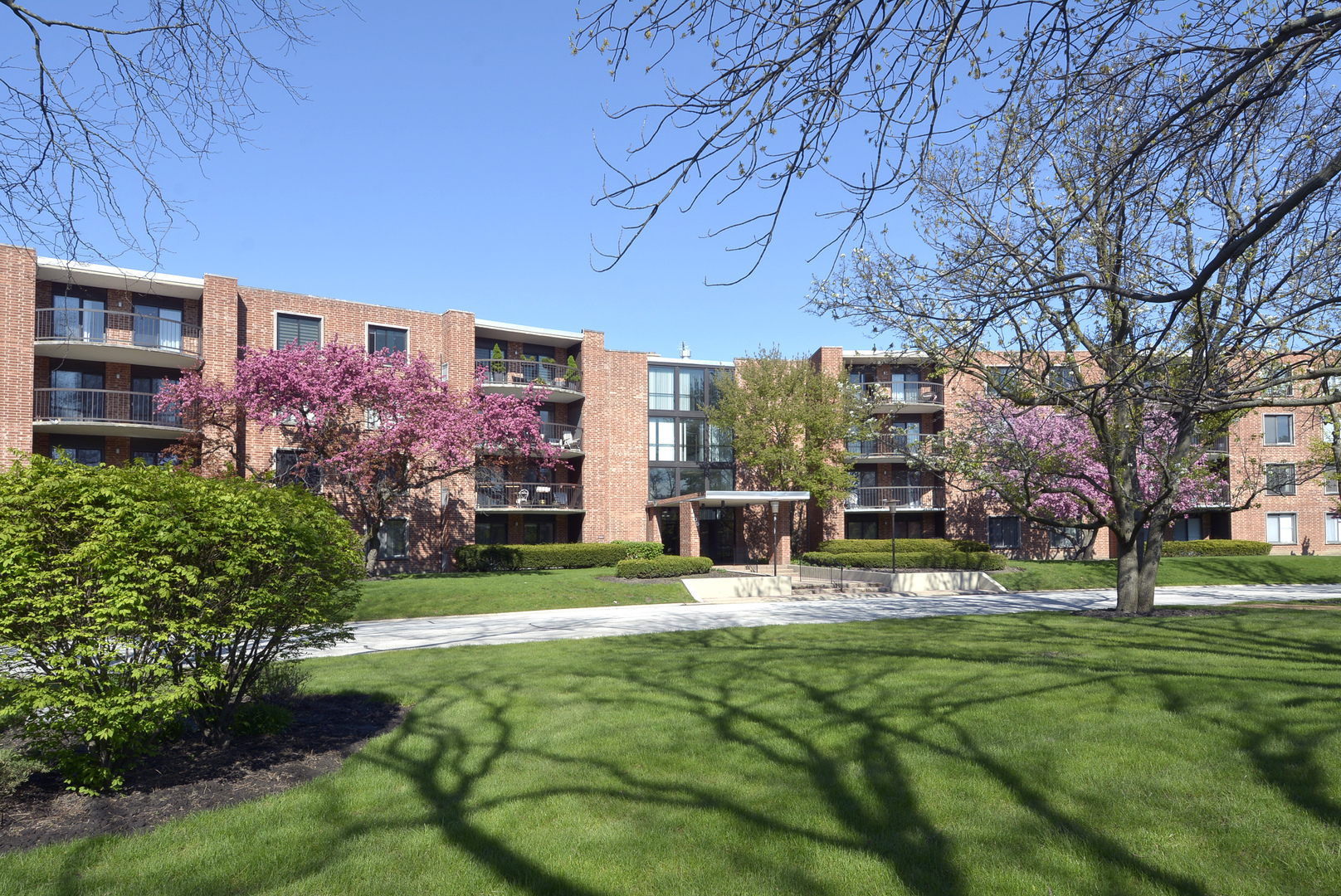 Property Photo: 1405 E Central Road 206A IL 60005