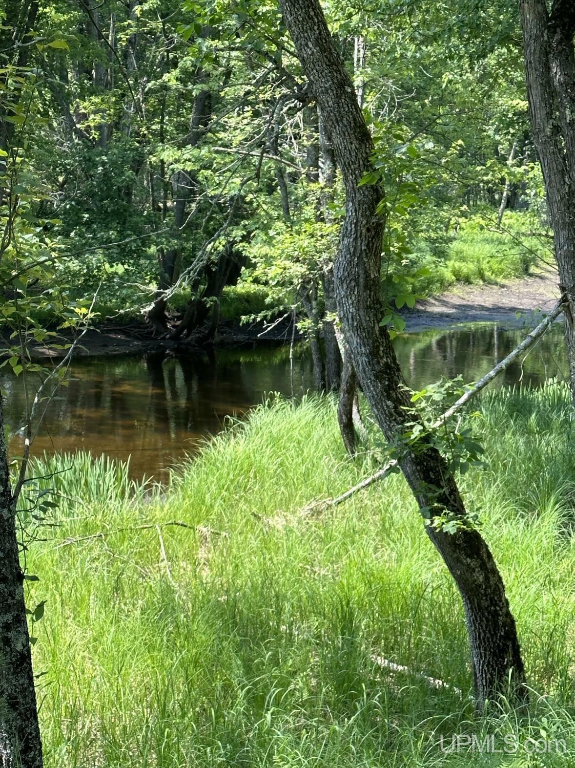 Property Photo: 3534 W Browns Lake MI 49892