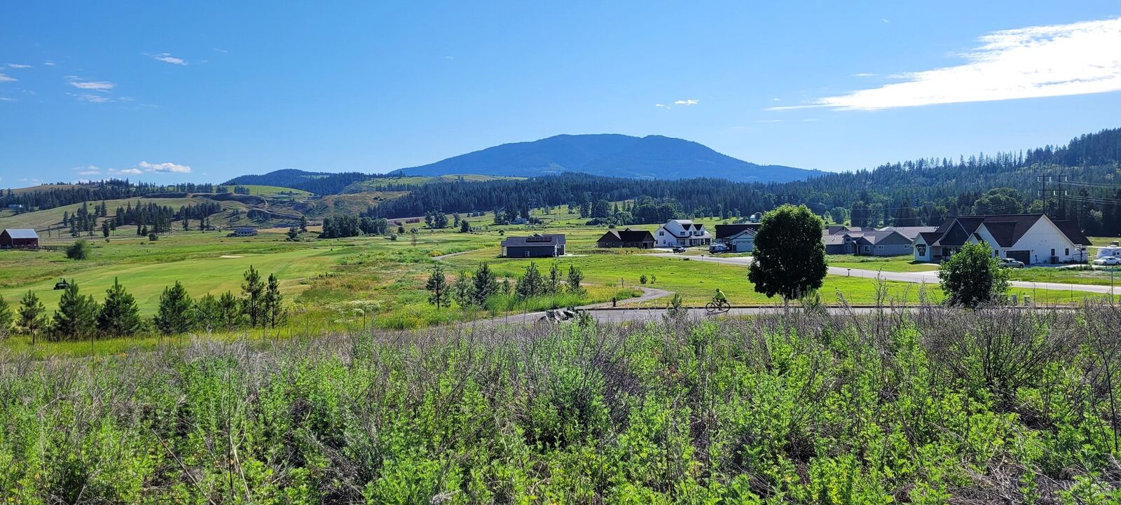 Property Photo: 732 Evergreen Way WA 99114