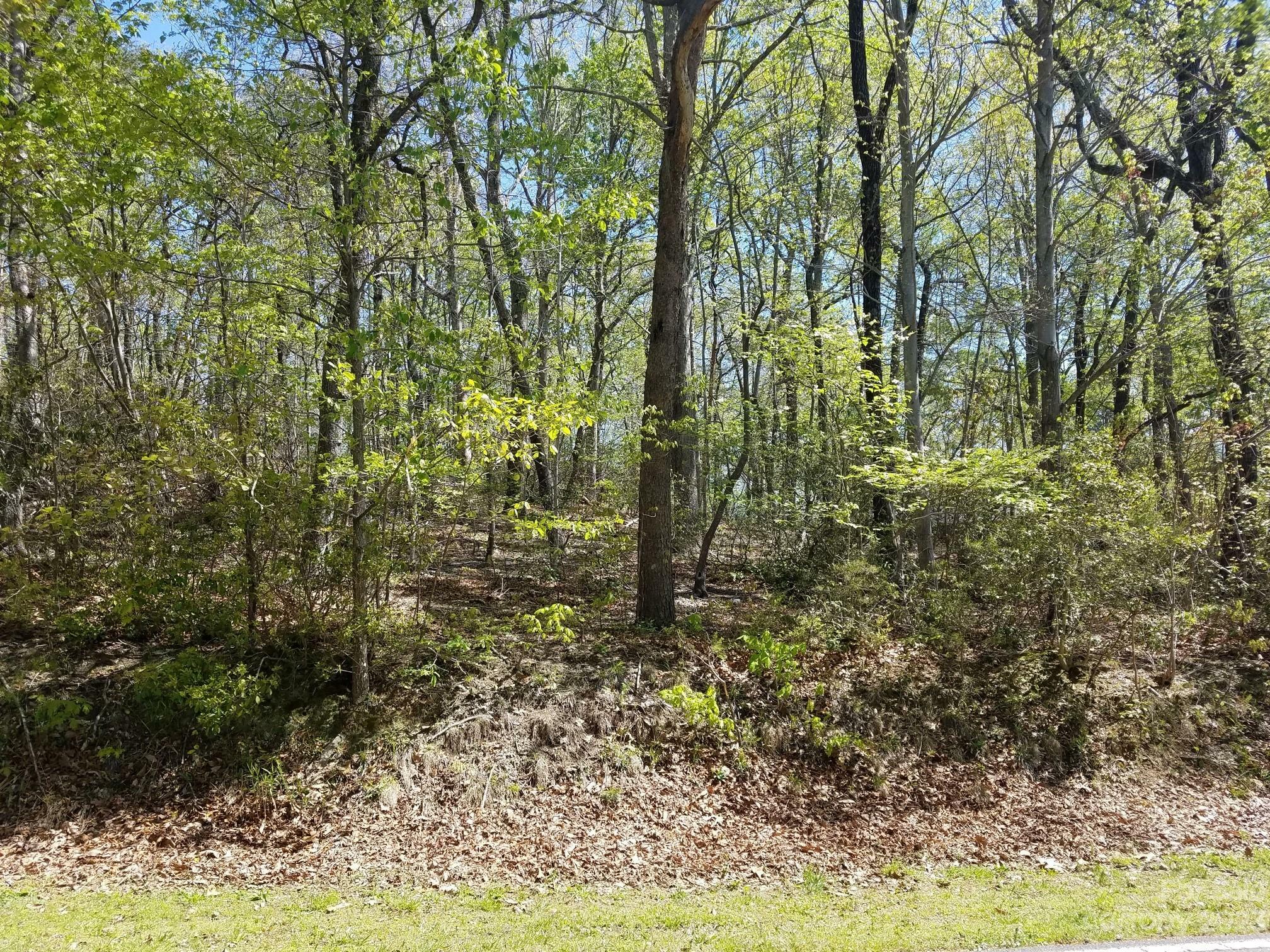 Property Photo:  0 Dogwood Trail  NC 28782 