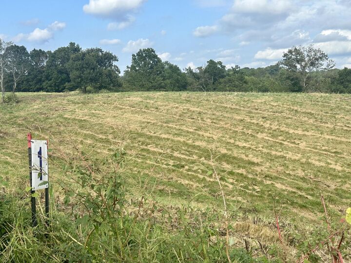Property Photo: Tract 1 Pittsburg Landing Road KY 40741
