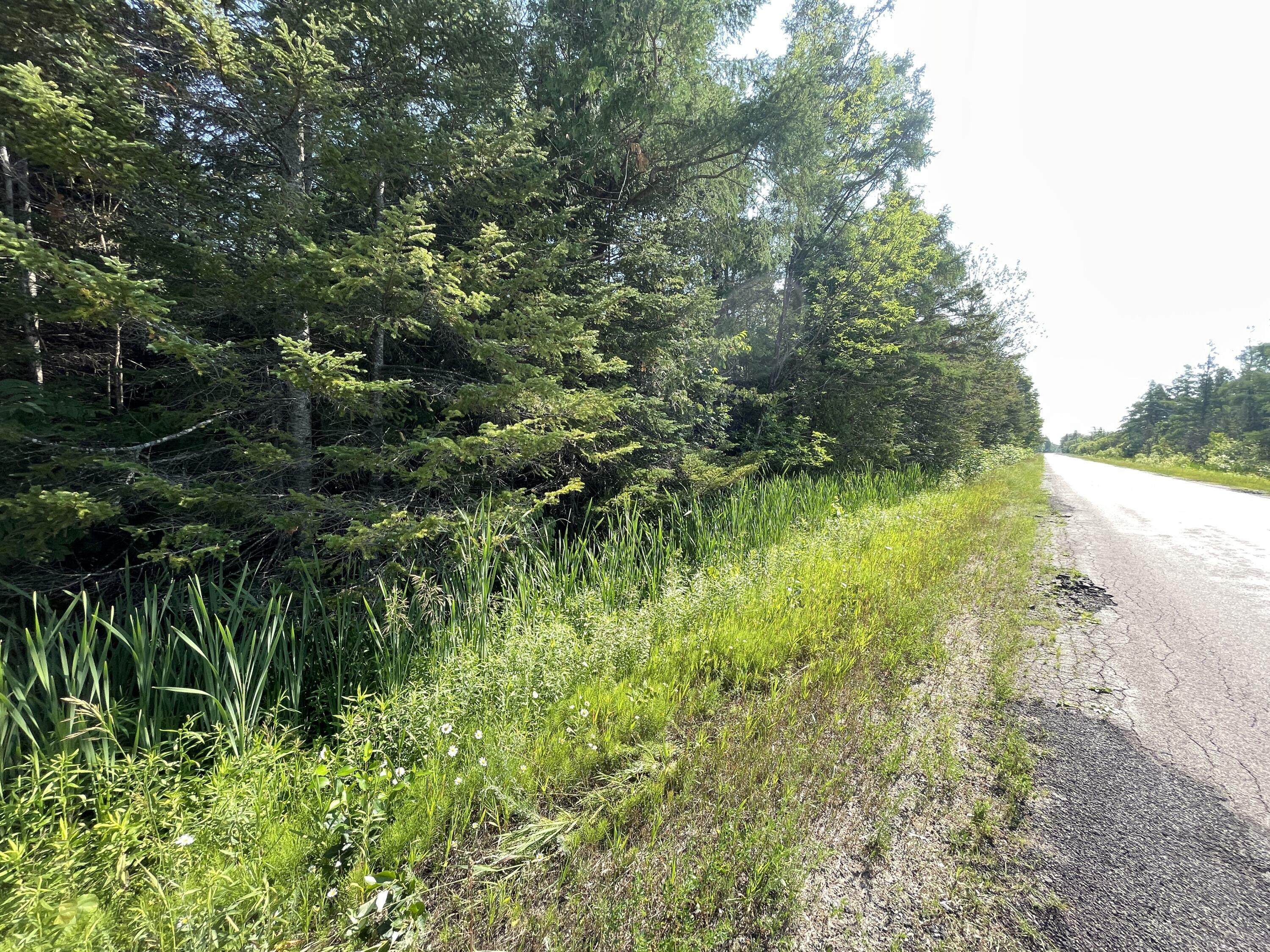 Property Photo:  2801 E Gill Road 38+ Acres  MI 49718 