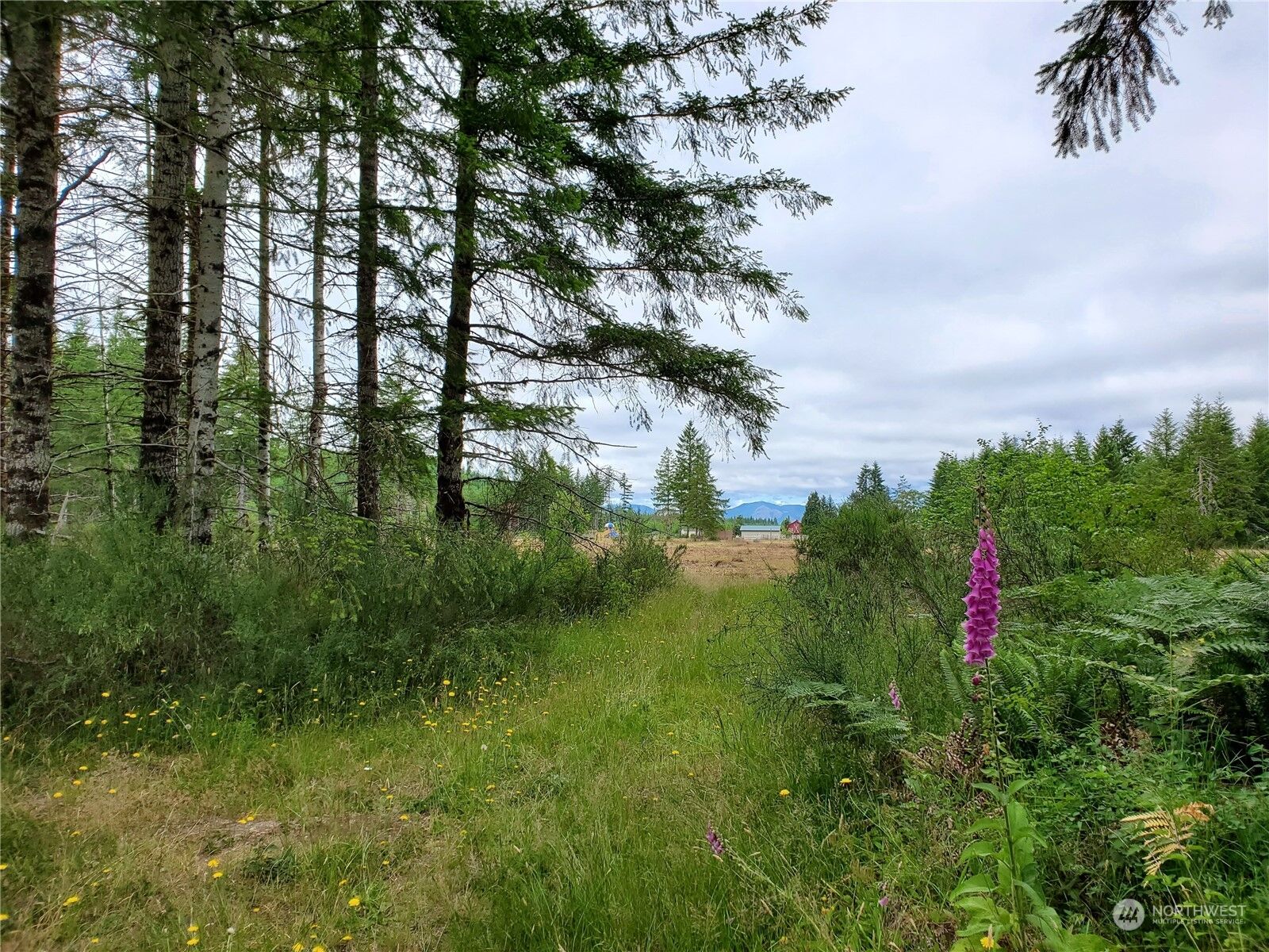 MLS2133558 0 Xx W Matlock Brady Road, Elma, WA 98541