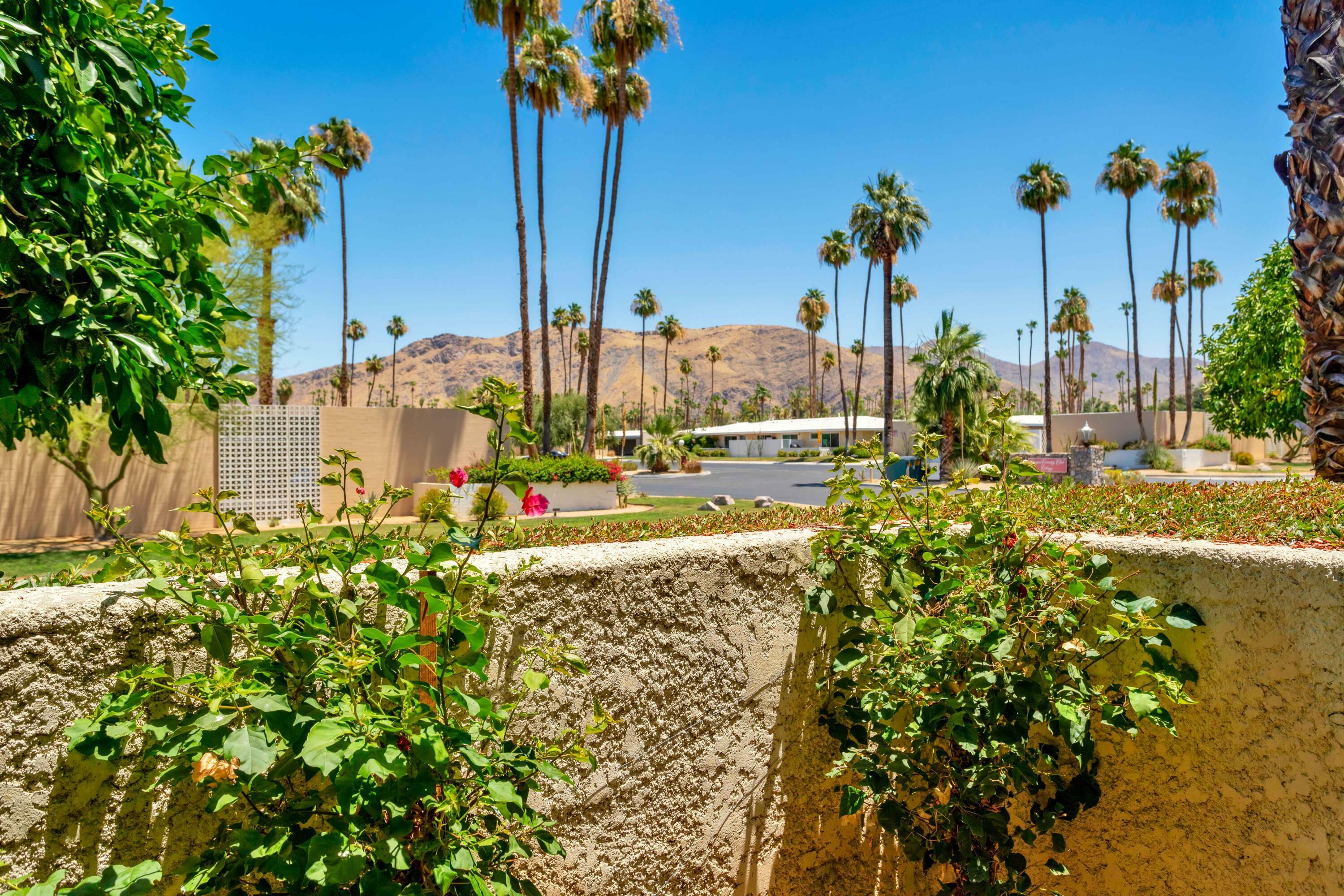 2255 S Calle Palo Fierro #75  Palm Springs CA 92264 photo