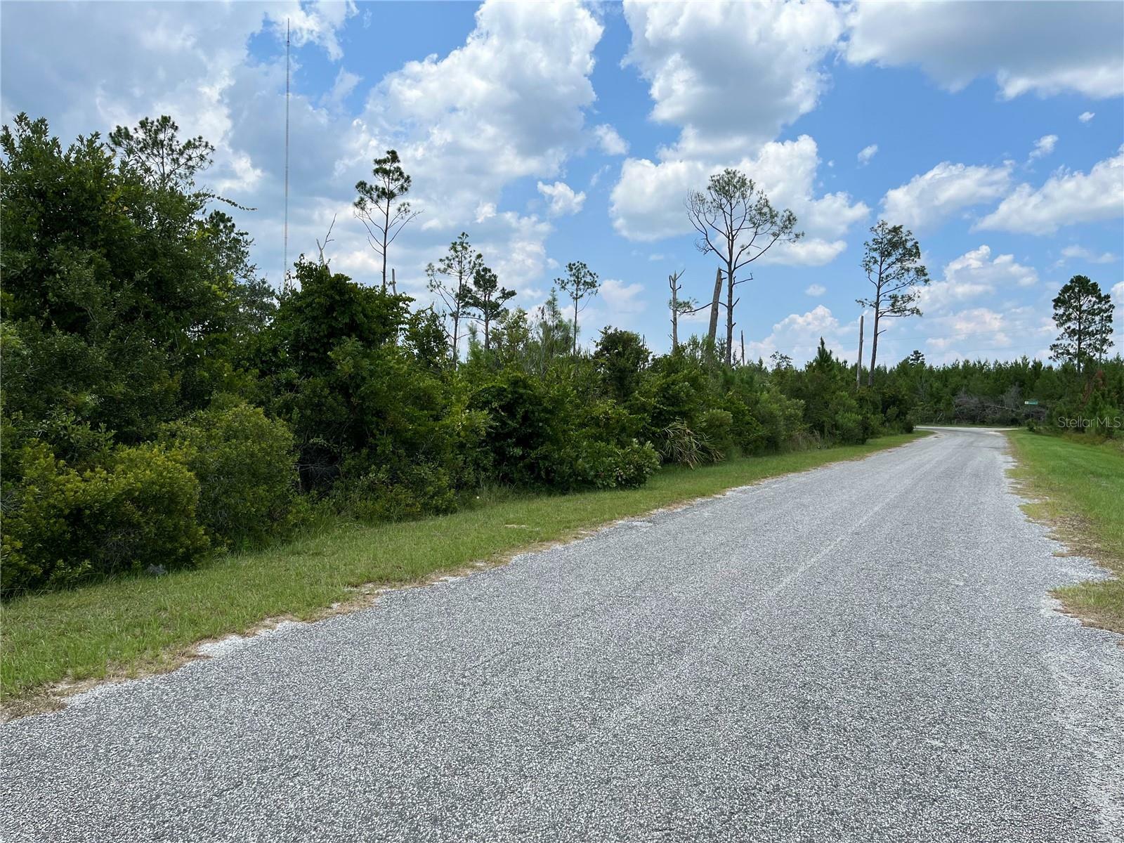 Property Photo:  Apricot Avenue  FL 32736 