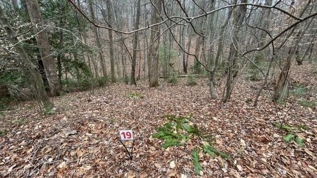 Property Photo: Lot 19 Woods Haven Lane VA 24171