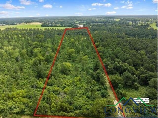 Property Photo: Tbd Cr 103 Tract 5 TX 75633