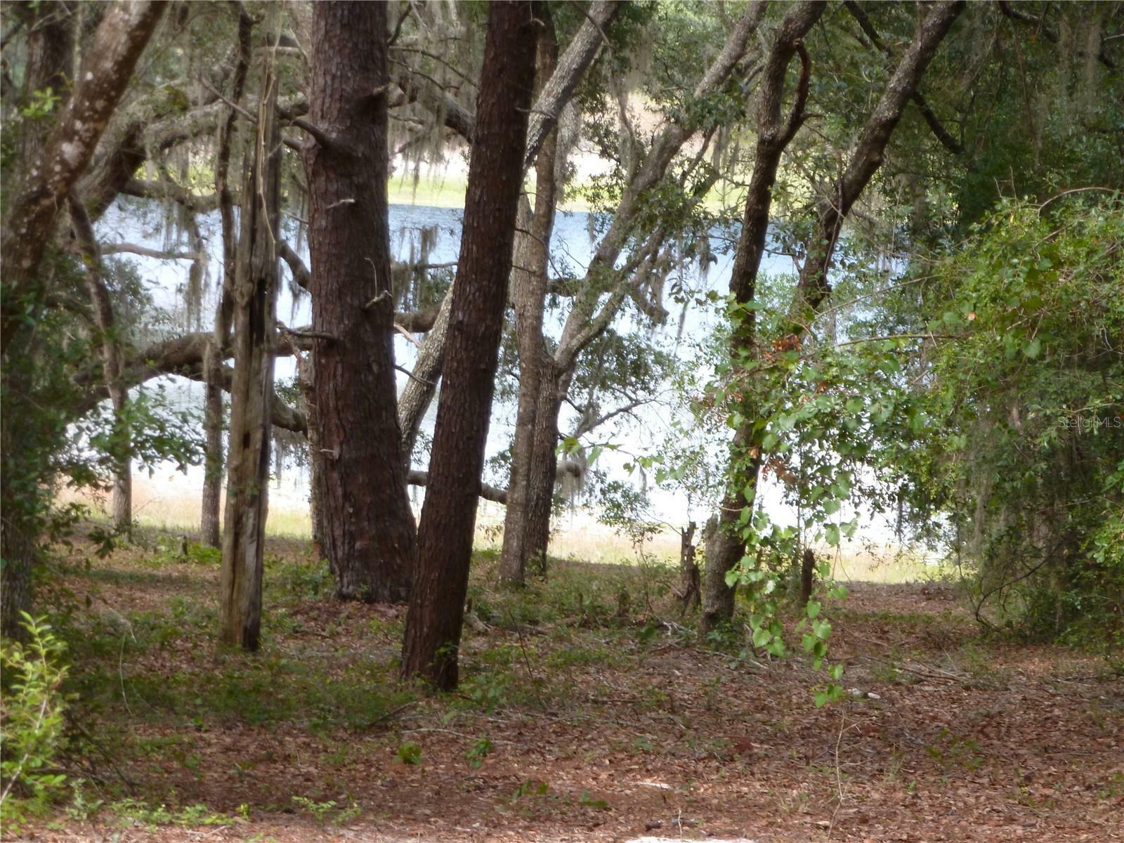 Property Photo:  8219 Lake Echo Ridge Drive  FL 32666 