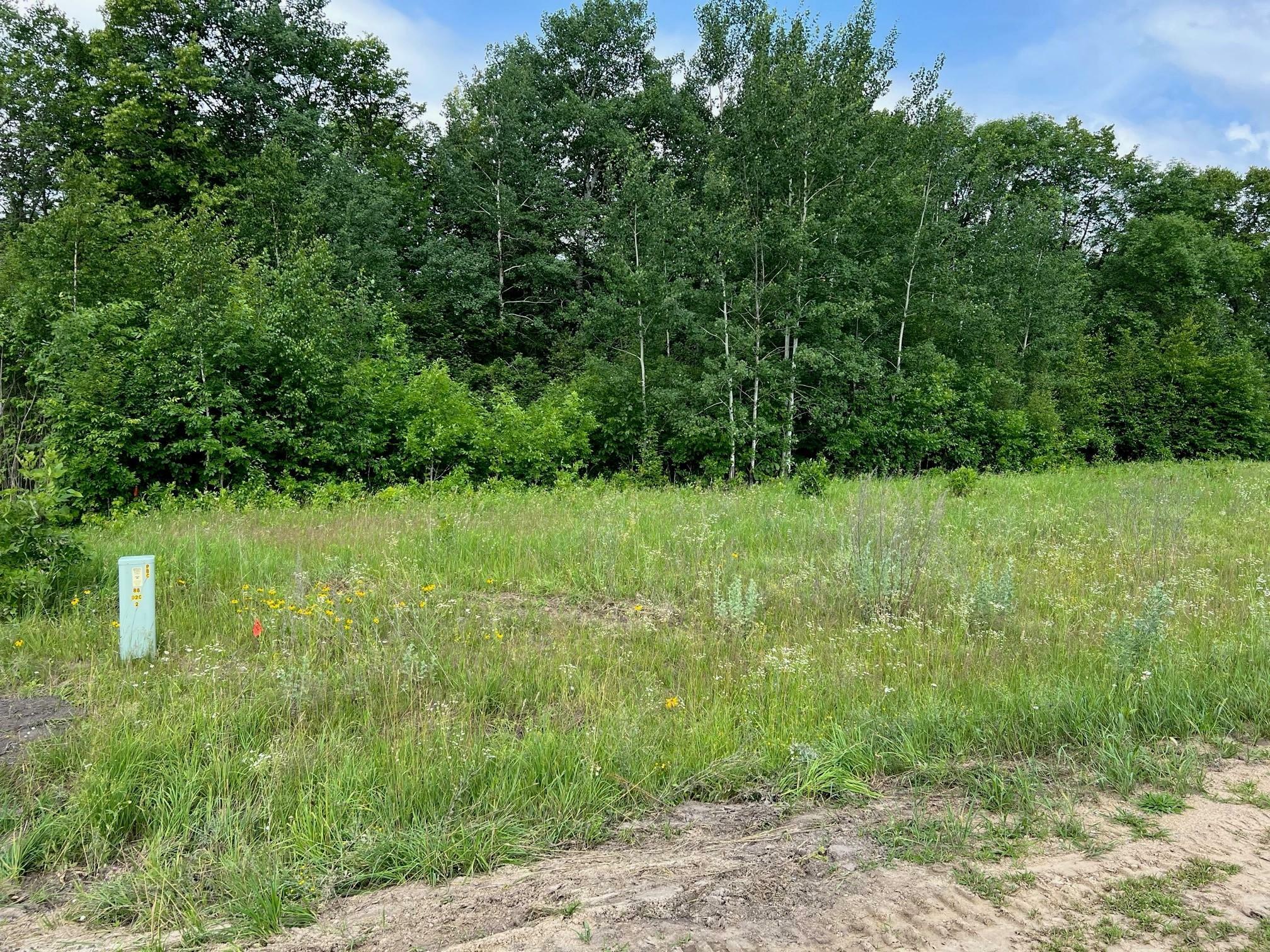 Property Photo:  Lot 4 Tango Drive  MN 56601 