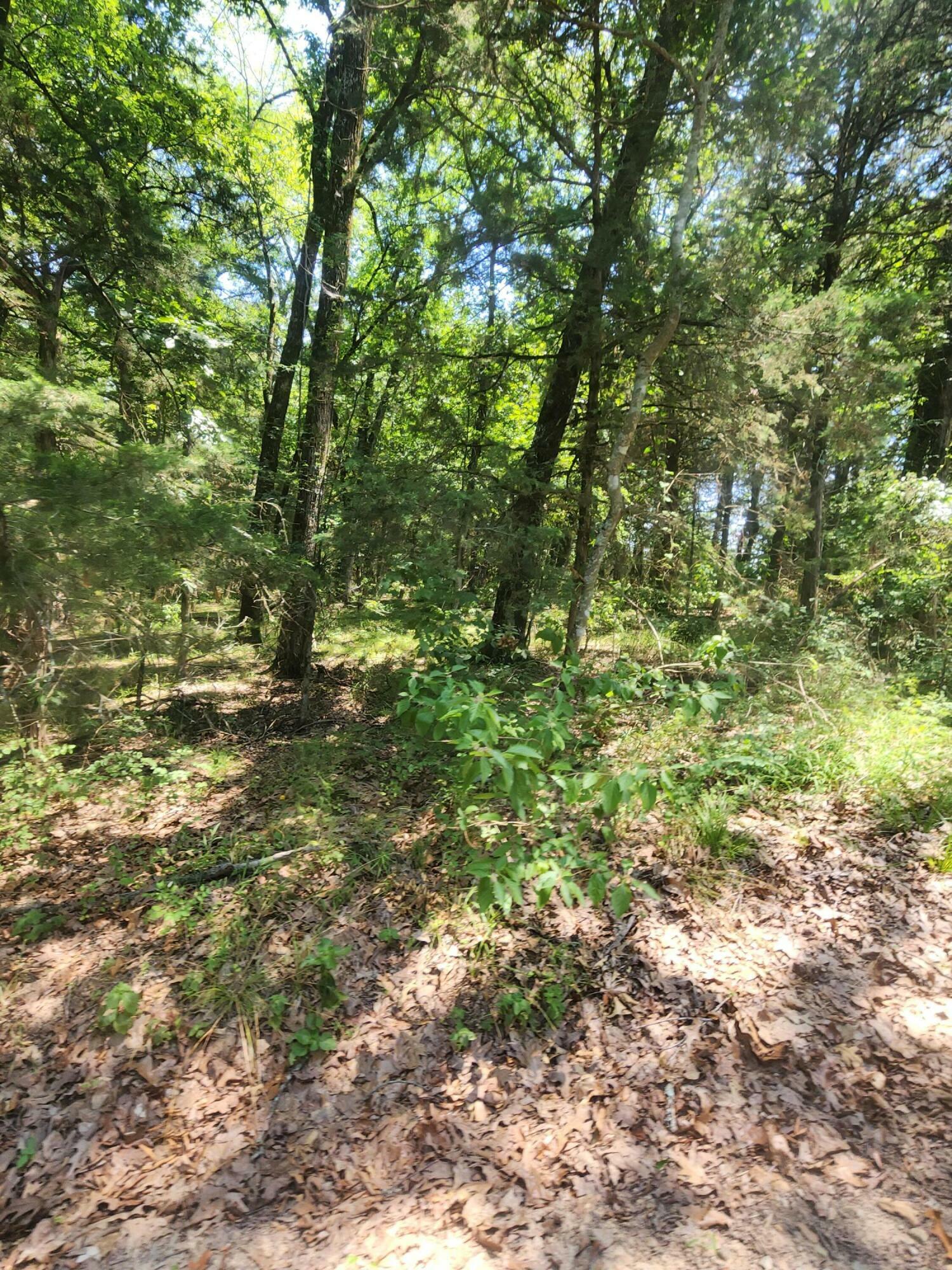 Property Photo:  Lot34-35 Pittsburg Landing Estates  AR 72845 