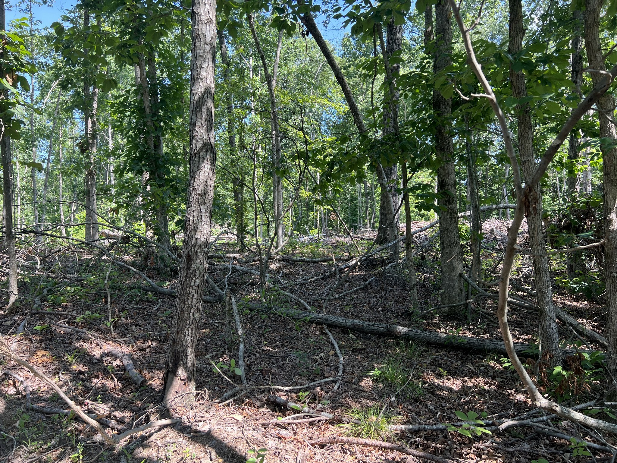 Property Photo:  1399 Turnpike Rd  TN 38483 