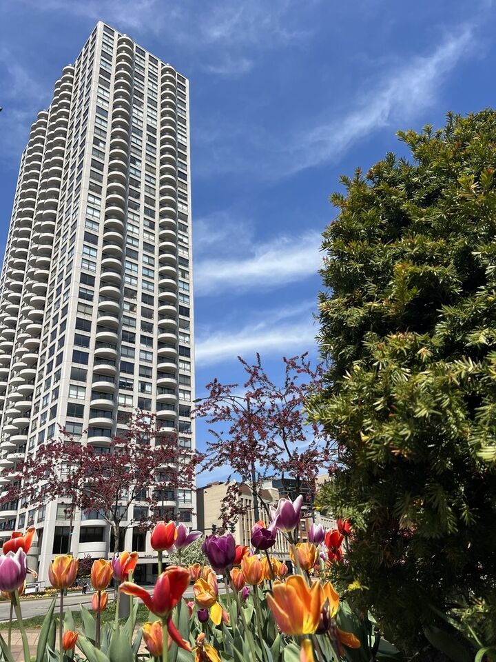 2020 N Lincoln Park West 7C  Chicago IL 60614 photo