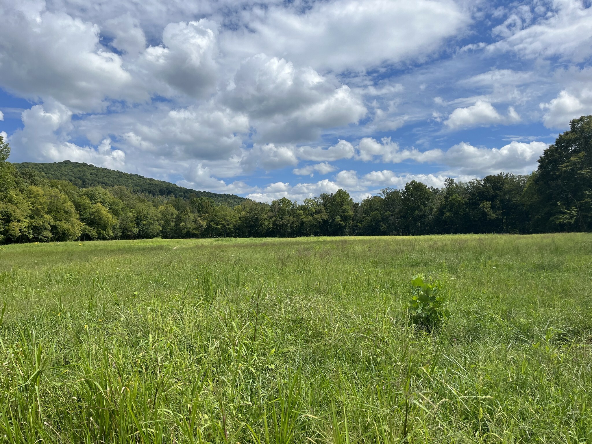 Property Photo:  2000 Hills Creek Road  TN 37110 