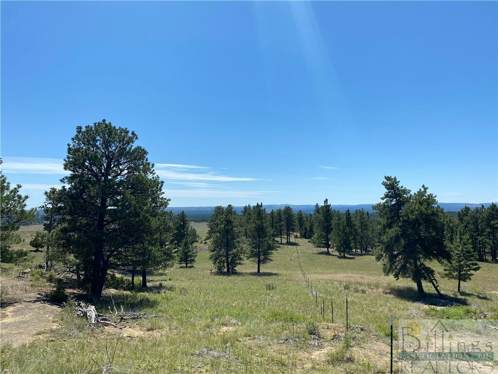 Property Photo:  Lot 60 N Delphia Road  MT 59072 