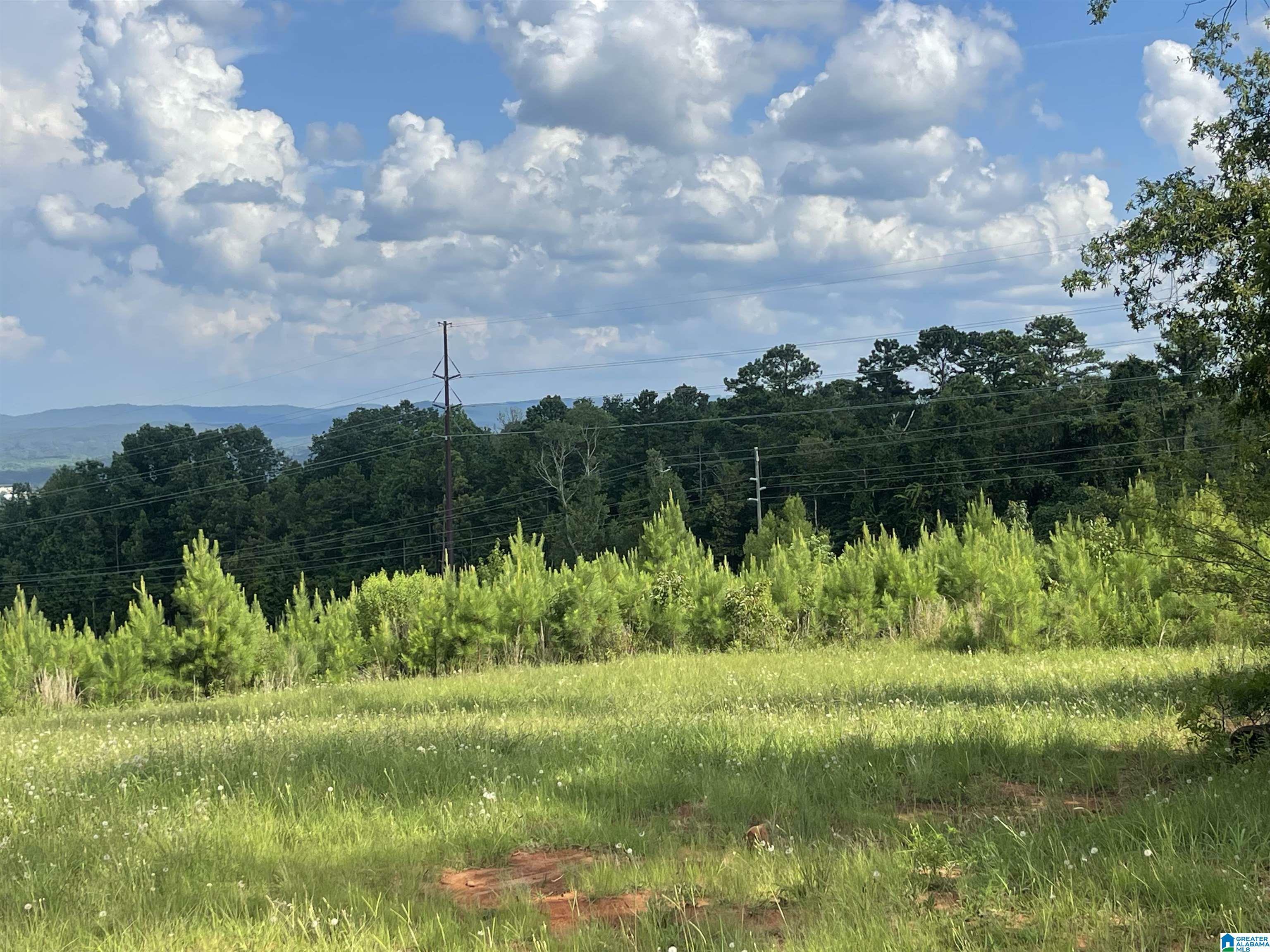 Property Photo: 900 Greenbrier Dear Road AL 36207