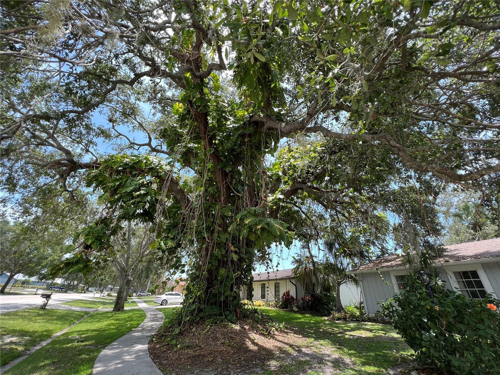 Property Photo:  5486 Colonial Oaks Boulevard  FL 34232 