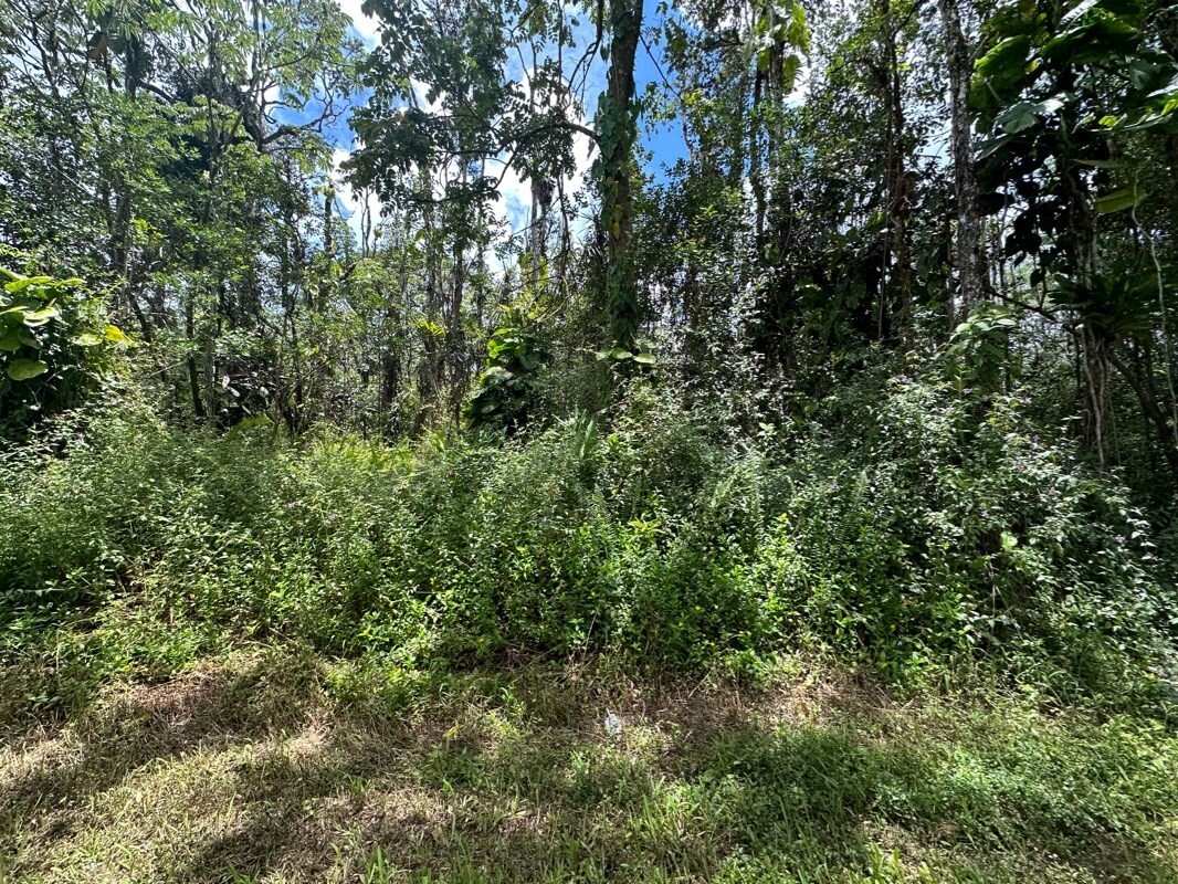 Property Photo:  Lanai Rd  HI 96778 