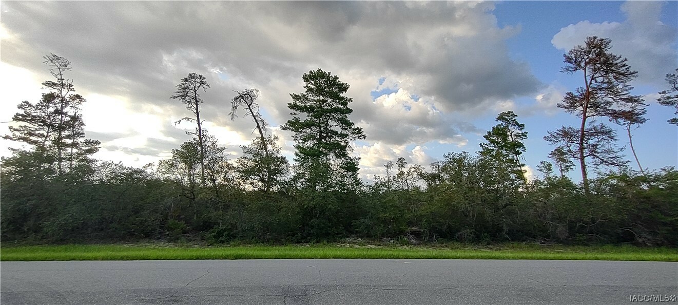 Property Photo:  0 SW 175th Loop  FL 34473 