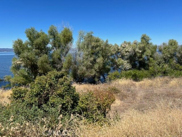 Property Photo:  7243 E Highway 20  CA 95458 