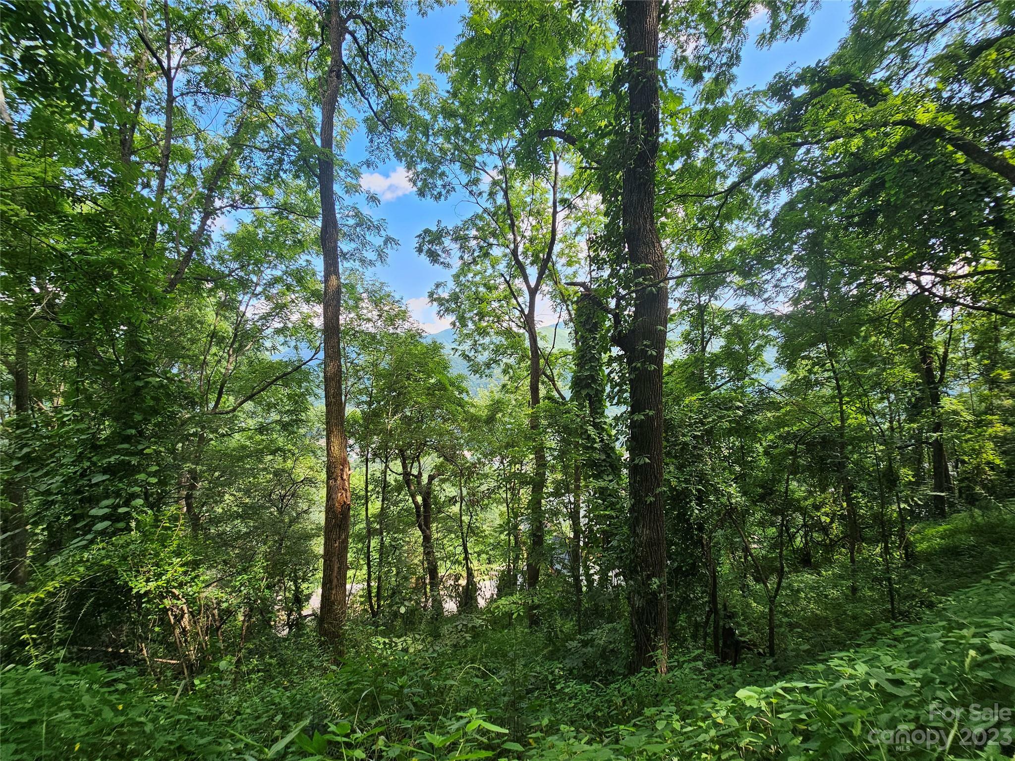 Property Photo:  Lot 21 Cub Trail  NC 28751 