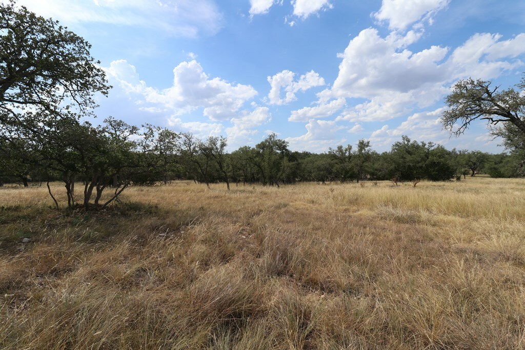 Property Photo:  Lot 31 Nott Branch Rd  TX 78631 