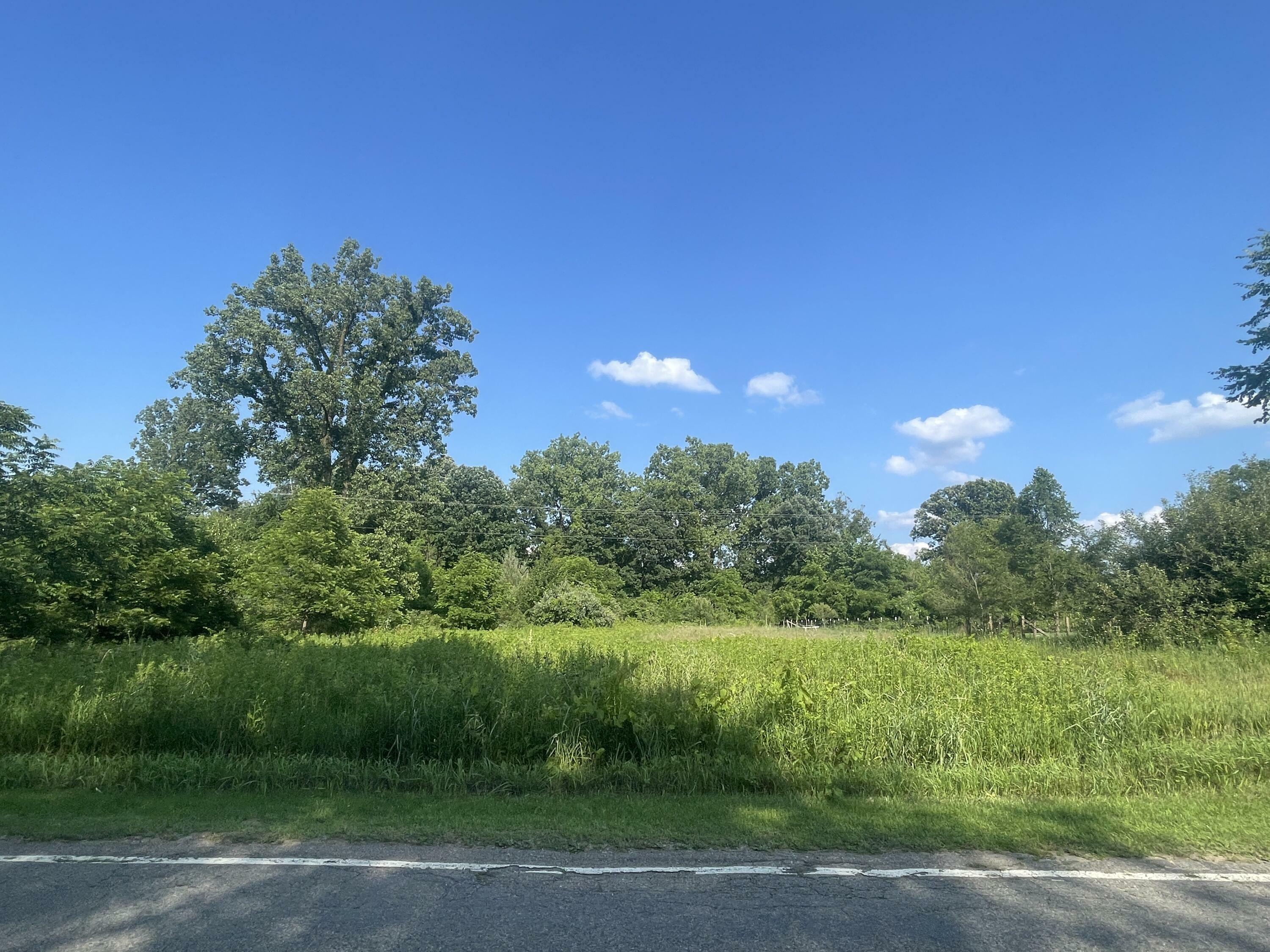 Property Photo:  Vl Dearmyer Road  MI 49230 