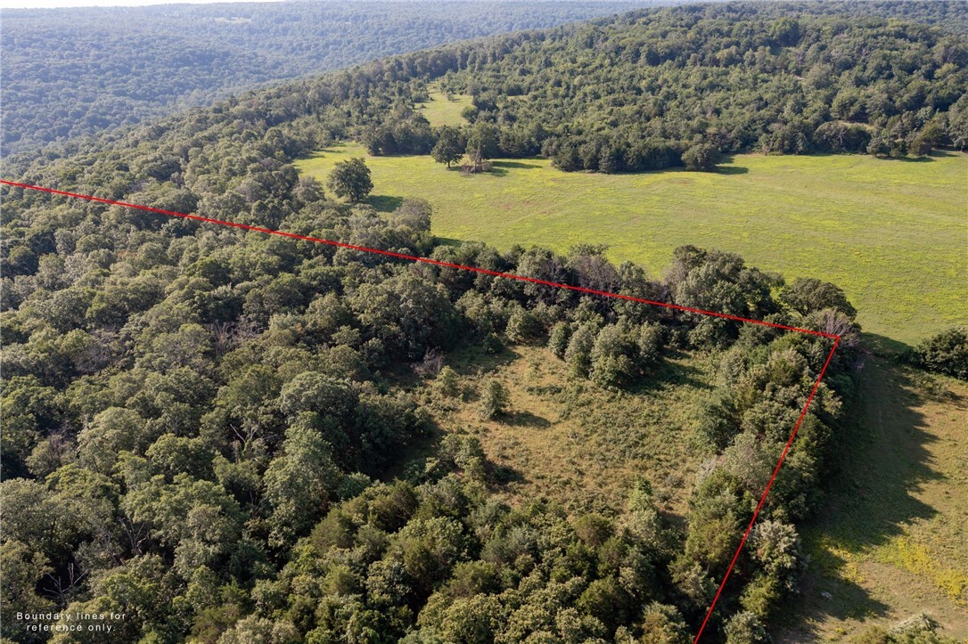Property Photo: 22132 Ray Wc 4425 Road AR 72948