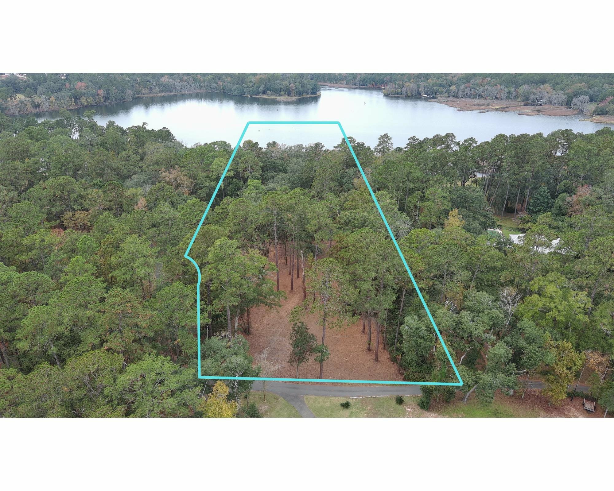 Property Photo:  Duck Cove Road  FL 32312 