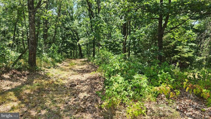 Pleasant Grove Road  Warfordsburg PA 17267 photo