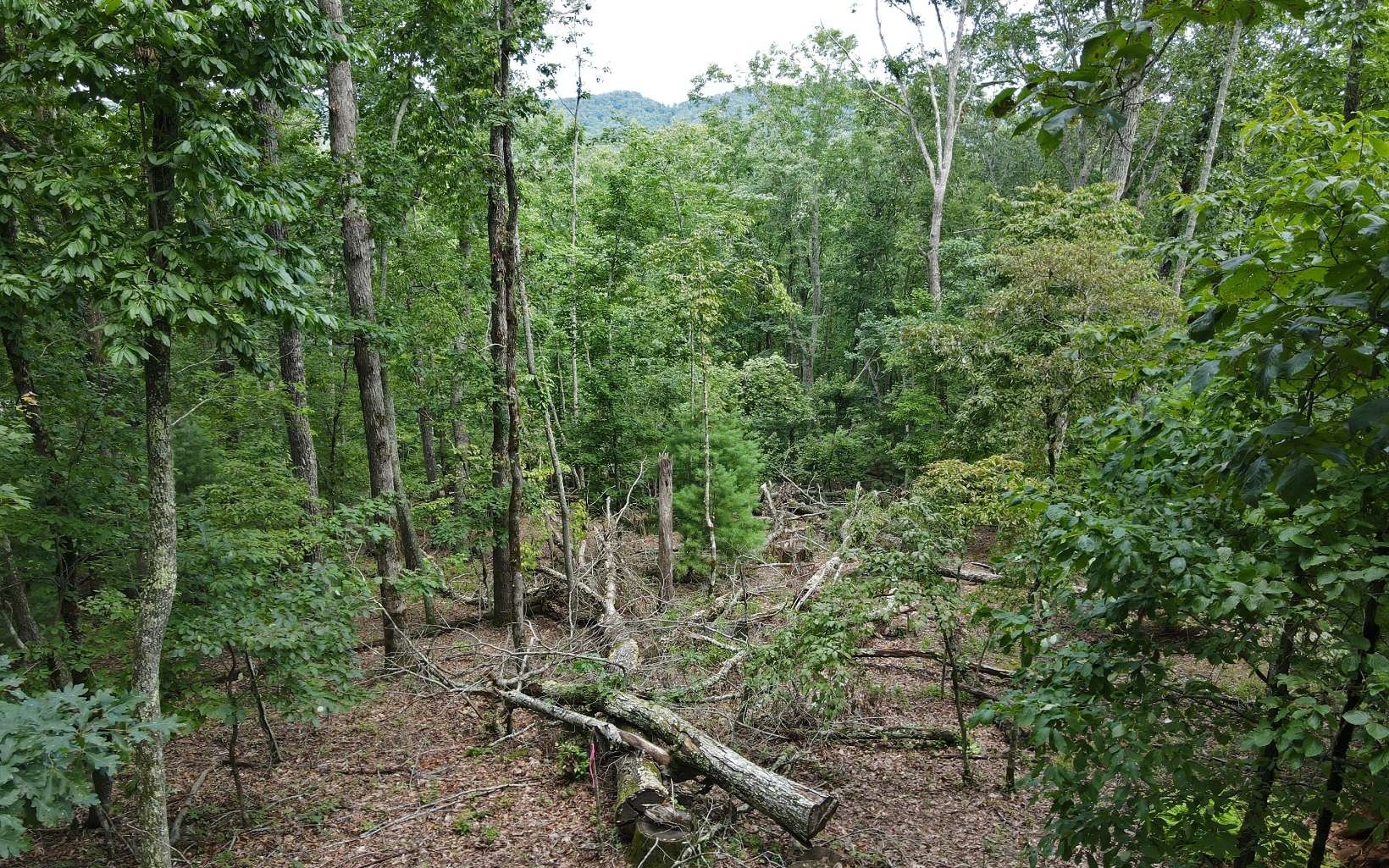 Property Photo:  Lot 1 Birchwood Trails  GA 30560 