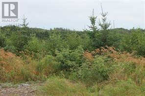 Property Photo:  Lot 129 Country Path  NL A0B 1G0 
