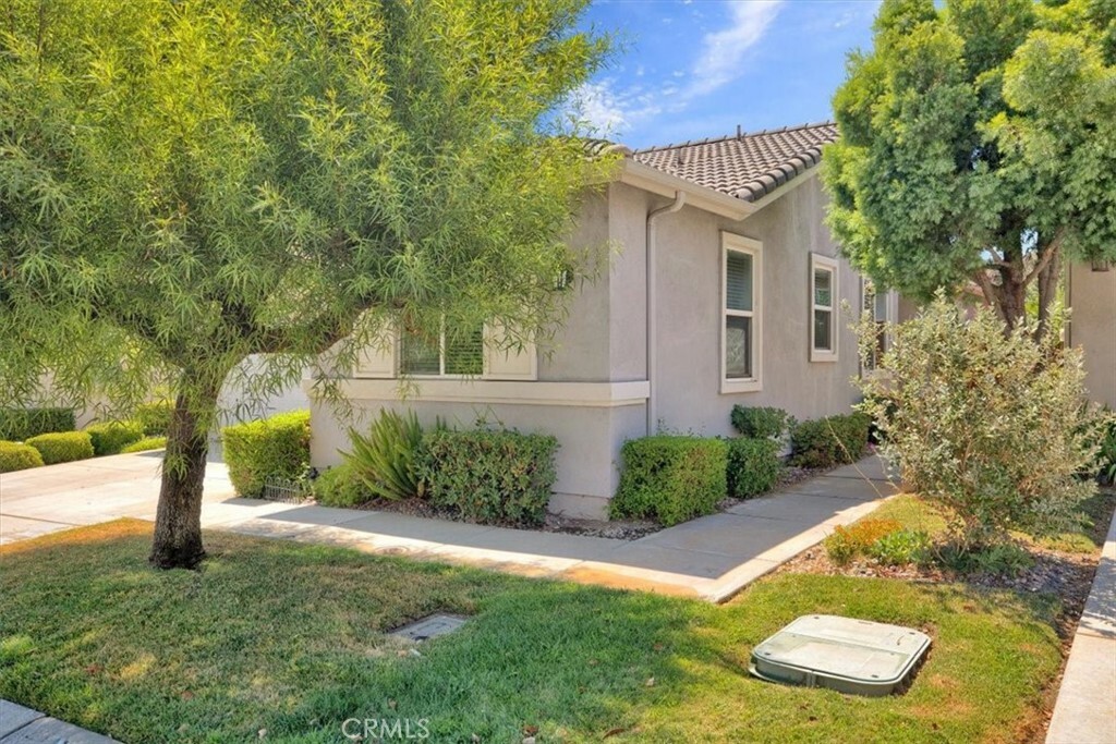 Property Photo:  8697 Stephenson Lane  CA 92545 