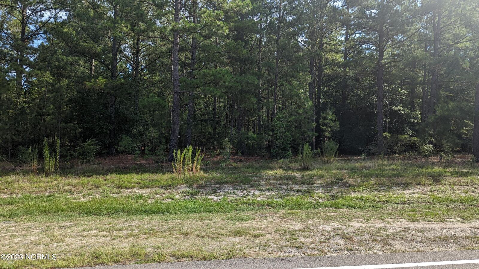 Property Photo: Tbd Rose Ridge Road NC 27281