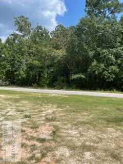 Property Photo:  1110 Old West Liberty Street  SC 29150 