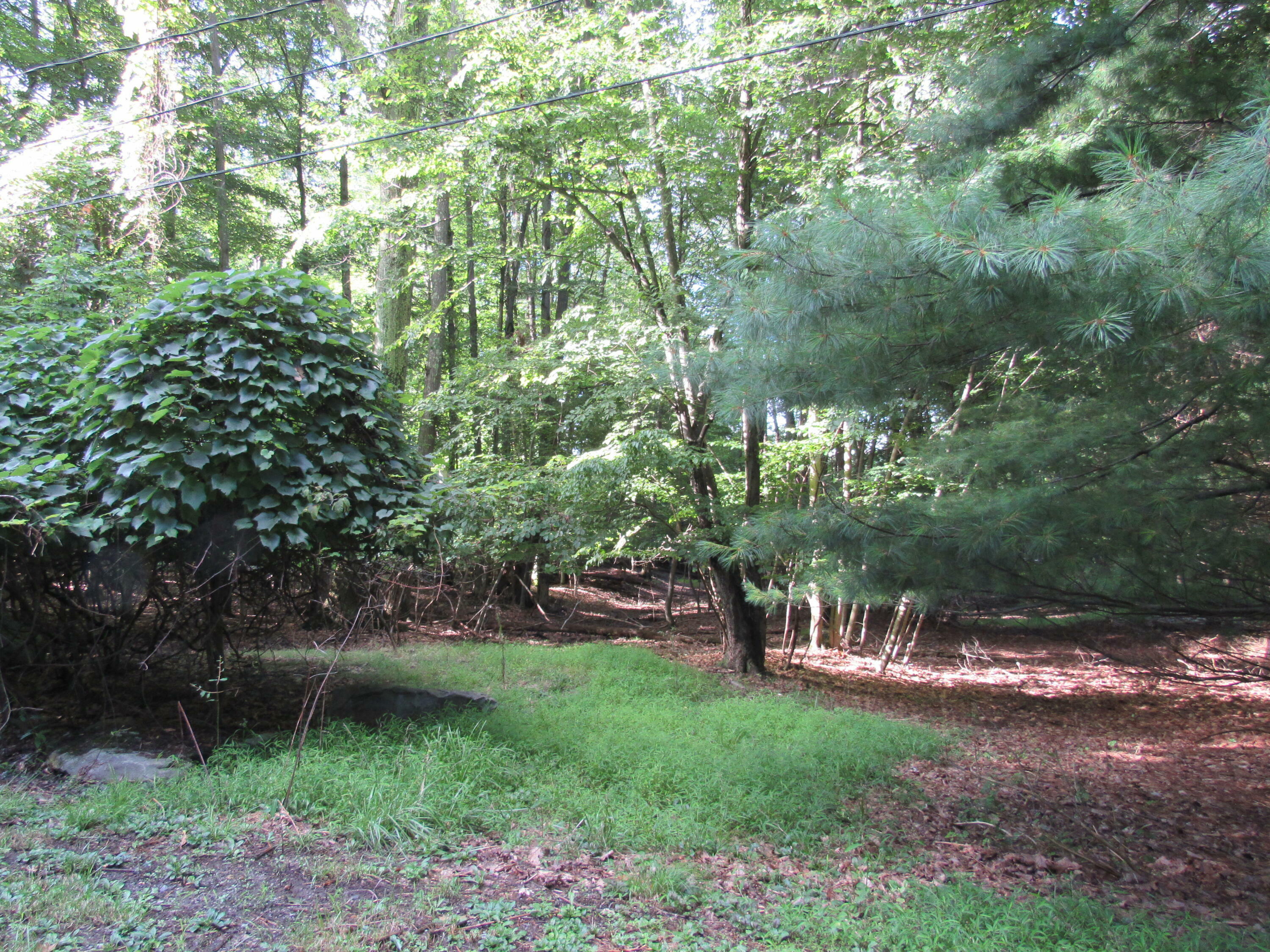 Property Photo:  3 Andros Ln  PA 15801 