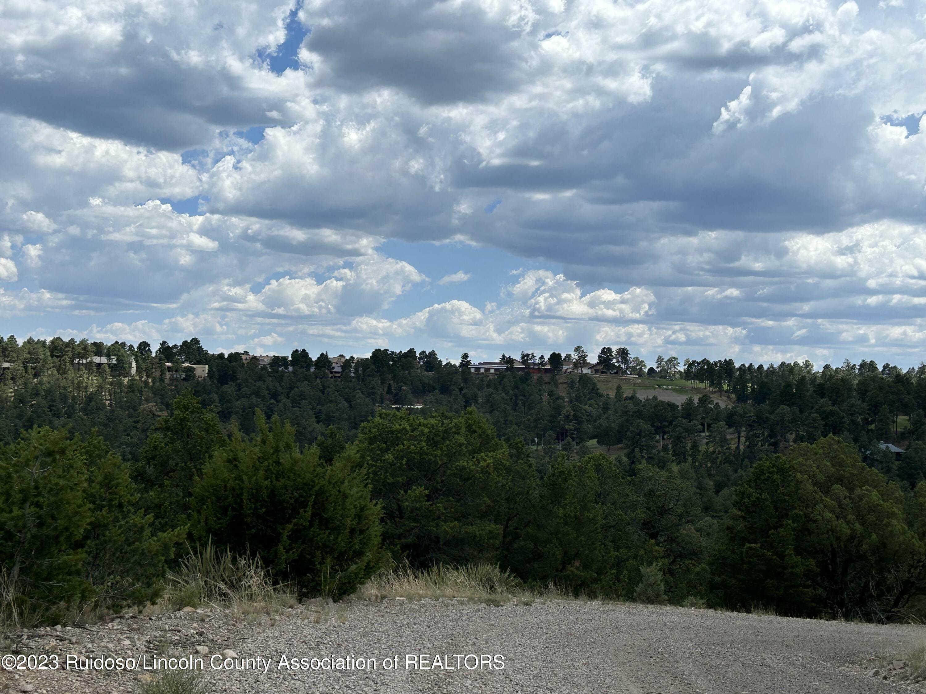 Property Photo:  102 Promontory  NM 88312 